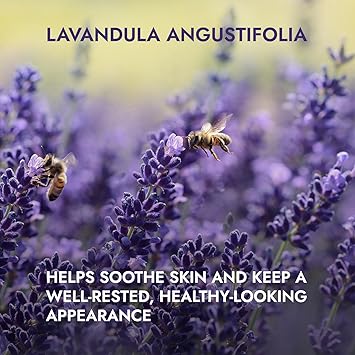 Alteya Organic Lavender Water Spray 100ml Pure Lavender Hydrolat No additives No Artificial Ingredients USDA Certified Organic Face Toner Condition Hair Cleance Sooth Balance Hydrate - Image 2