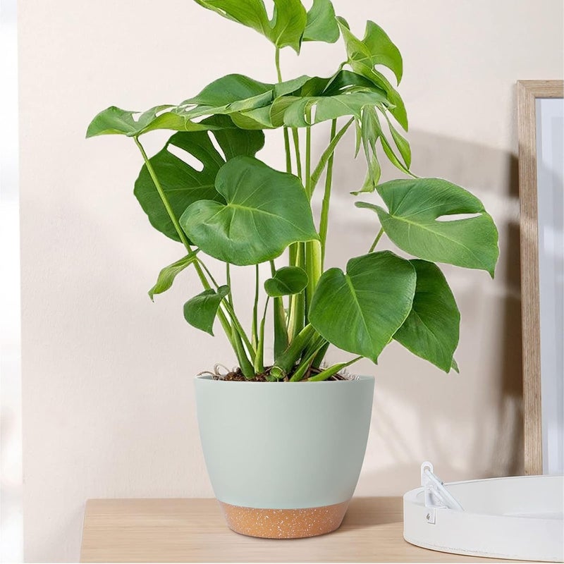 GARDIFE Plant Pots Set of 2 Pack 8 inch,Planters for Indoor Plants with Drainage Holes, Modern Decorative Flower Pots for All House Plants, Flowers, Green - Image 4