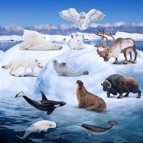 Toymany 12PCS 4-7" Large Polar Animals Figurines, Plastic Arctic Animal Toy Preschool Set Includes Polar Bear,Caribou,Whales,Walrus, Cake Toppers Christmas Birthday Toys Gift for Kids Toddlers - Image 5