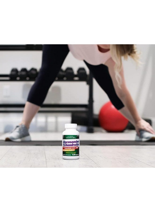 21st Century Glucosamine and Chondroitin Plus Tablets, 120 Count - Image 4