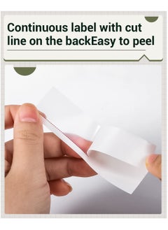 phomemo 3 Rolls Multi-Purpose Continuous Self-Adhesive Label for D50 Label Printer, 24mm*6m (Transparent)  - Image 3