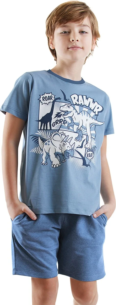 Denokids Dinos Boys T-Shirt Shorts Set