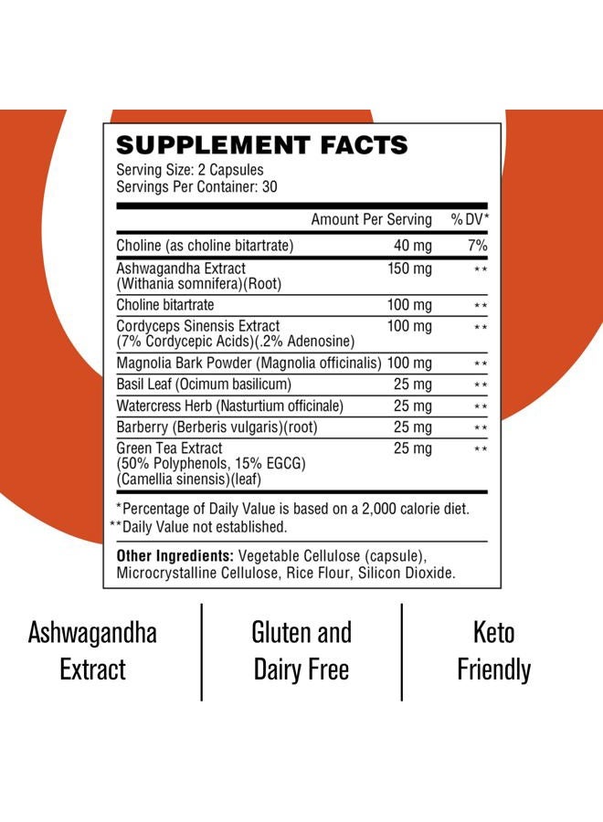Wellthy Revive Adrenal Supplement & Cortisol Support - Boost Energy and Improve Mental Wellness - Adrenal Support & Cortisol Manager - 60 Vegetarian Capsules - Image 2