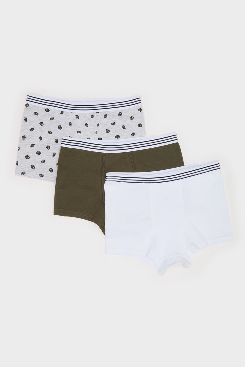 DeFacto Boy Cactus Patterned 3 Piece Boxer  - Image 1