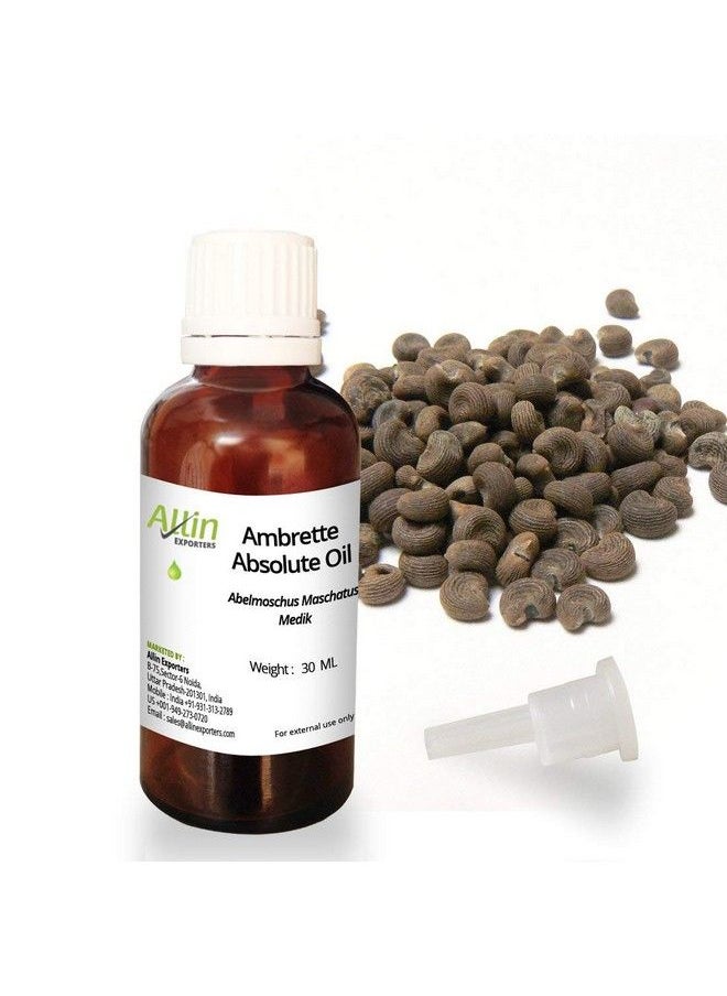 Allin Exporters Ambrette Absolute Oil 100% Pure Natural & Undiluted 30 Ml  - Image 1