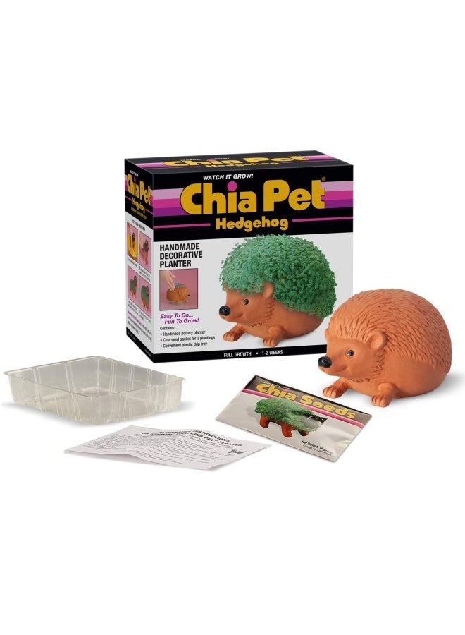 Chia CP438-01 Pet Hedgehog Seed Pack Decorative Pottery Planter Easy to Do and Fun to Grow Novelty Gift Perfect for Any Occasion Terra Cotta - Image 2