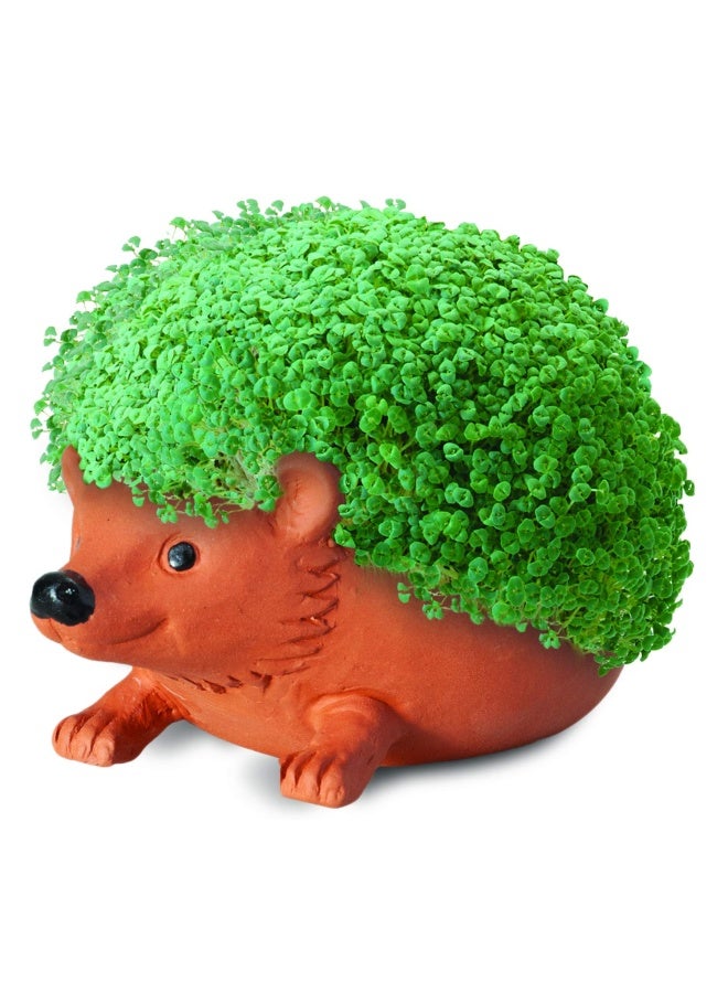 Chia CP438-01 Pet Hedgehog Seed Pack Decorative Pottery Planter Easy to Do and Fun to Grow Novelty Gift Perfect for Any Occasion Terra Cotta - Image 4