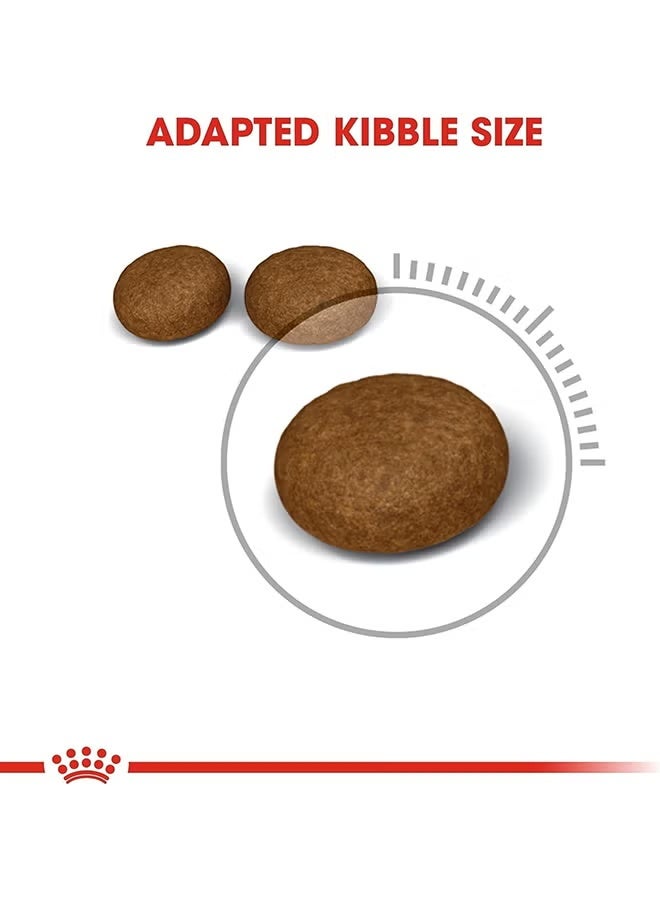 Royal Canin Hair & Skin Care Dry Cat Food - 4KG - Image 2