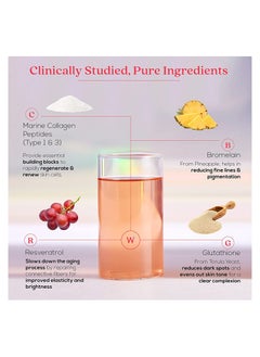 WELLBEING NUTRITION Glow Collagen Korean Marine Collagen Peptides With Skin Glutathione 250 G  - Image 3