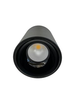 LED Indoor Ceiling Spotlight 12W Black - pzsku/Z265A83F9392F15FCE22FZ/45/_/1707896039/96ad929b-f070-4ffa-bda8-d109f028bf1d