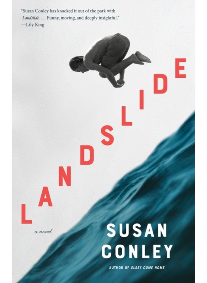 Landslide A novel - Paperback