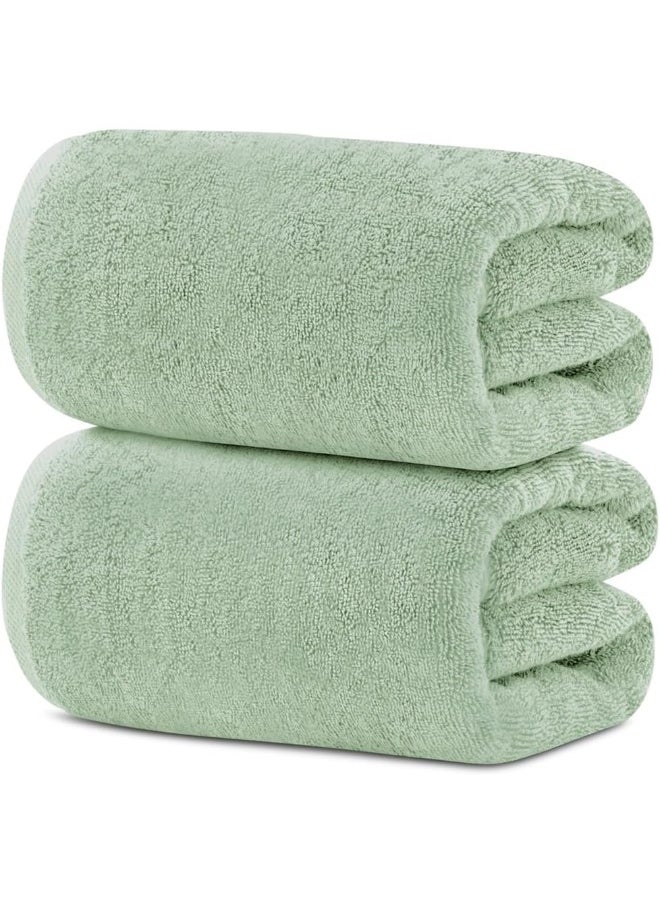 Premium Bath Towels Set Pack of 2 - pzsku/Z265BBE73585CDC6D2B53Z/45/_/1723730263/dbcba878-8483-4bf0-bfe0-4d160ca84d31