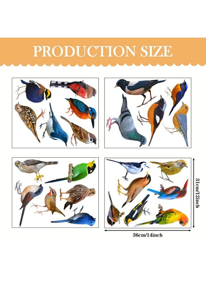 WOYINIS Lifelike 3D Birds Wall Stickers - Waterproof Vinyl Birds Wall Art Decals - Peel & Stick Removable for Kids Bedroom, Living Room, Windows, Office, Nursery, Home, Garden Decorations - Image 3