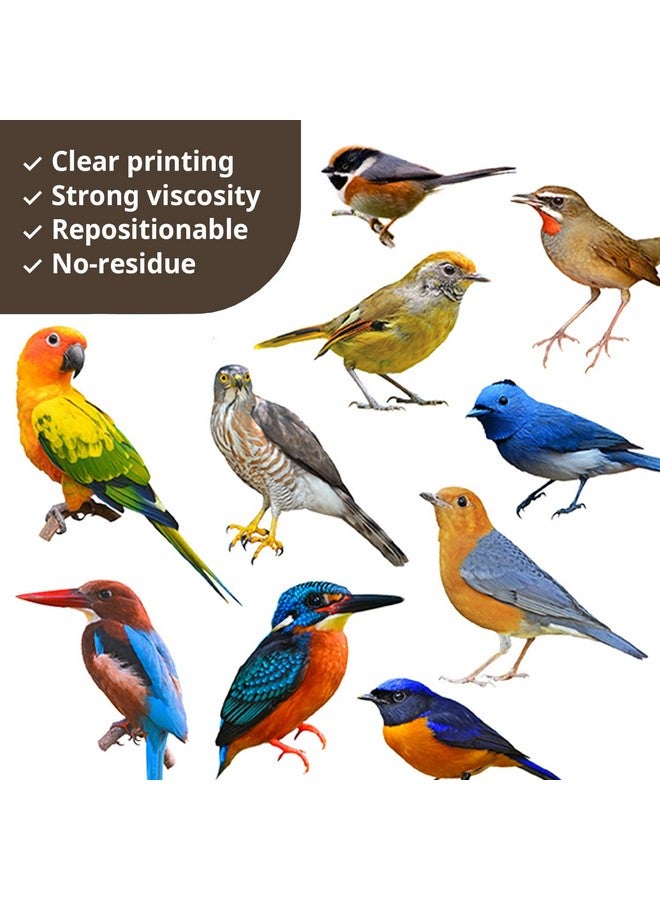 WOYINIS Lifelike 3D Birds Wall Stickers - Waterproof Vinyl Birds Wall Art Decals - Peel & Stick Removable for Kids Bedroom, Living Room, Windows, Office, Nursery, Home, Garden Decorations - Image 4