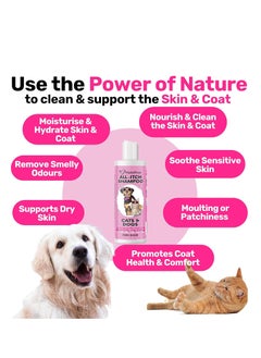 Nutri All Itch Shampoo for Dogs and Cats Ideal for Sensitive Itchy Pets Soothes Dry Skin Nourishes Skin and Coat Oat Milk Aloe Vera Peppermint Suitable for All Ages Sizes and Breeds  - Image 4