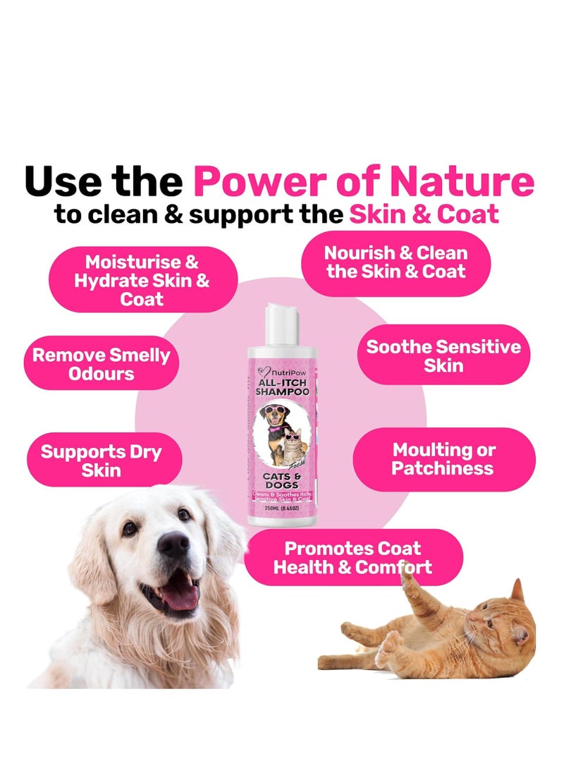Nutri - All Itch Shampoo for Dogs and Cats Ideal for Sensitive Itchy Pets Soothes Dry Skin Nourishes Skin and Coat Oat Milk Aloe Vera Peppermint Suitable for All Ages Sizes and Breeds - Image 1