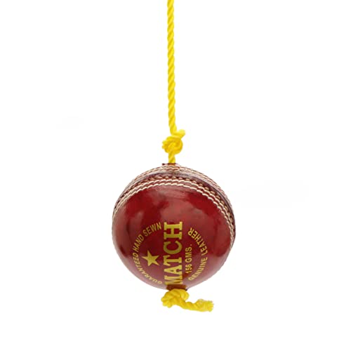 PSE Priya Sports Leather Match Practice Hanging Cricket Ball Red,Standard - Image 5