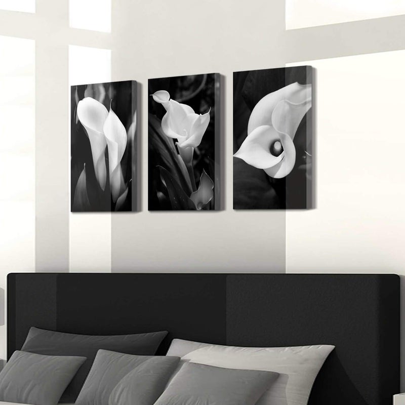 Hardy Gallery Floral Artwork Nature Flower Picture: Calla-Lily Print on Canvas Set for Wall Art - Image 3