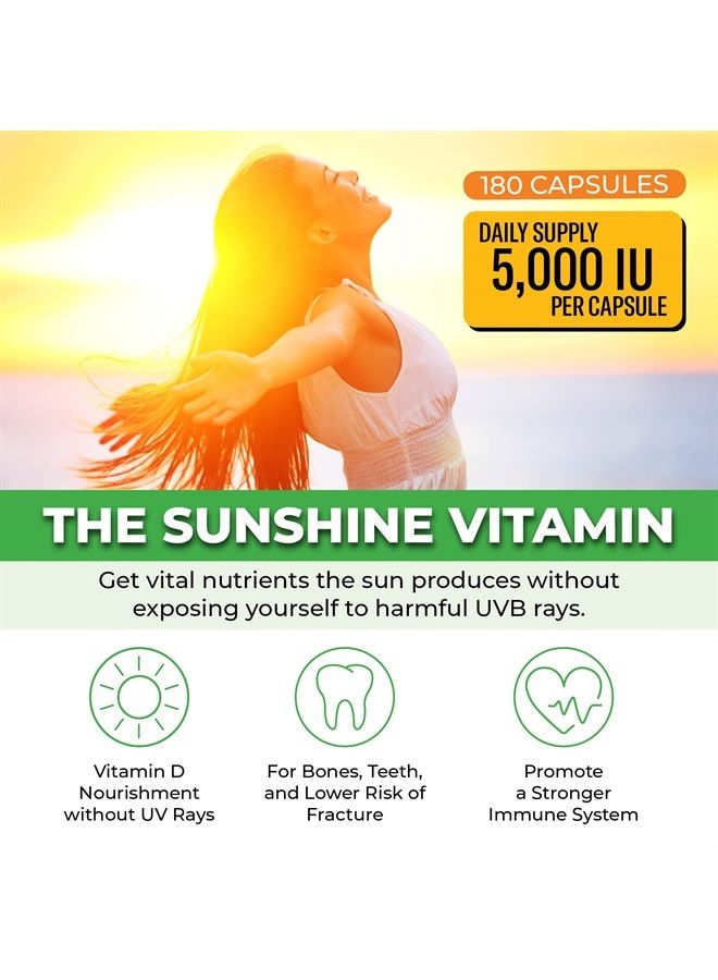 ForestLeaf Vitamin D3 5,000 IU Supplement - Vegetable Capsules for Bones, Teeth, and Immune Support - Easy Swallow Pure Vitamin D3 5000 (180 Count) - Image 5