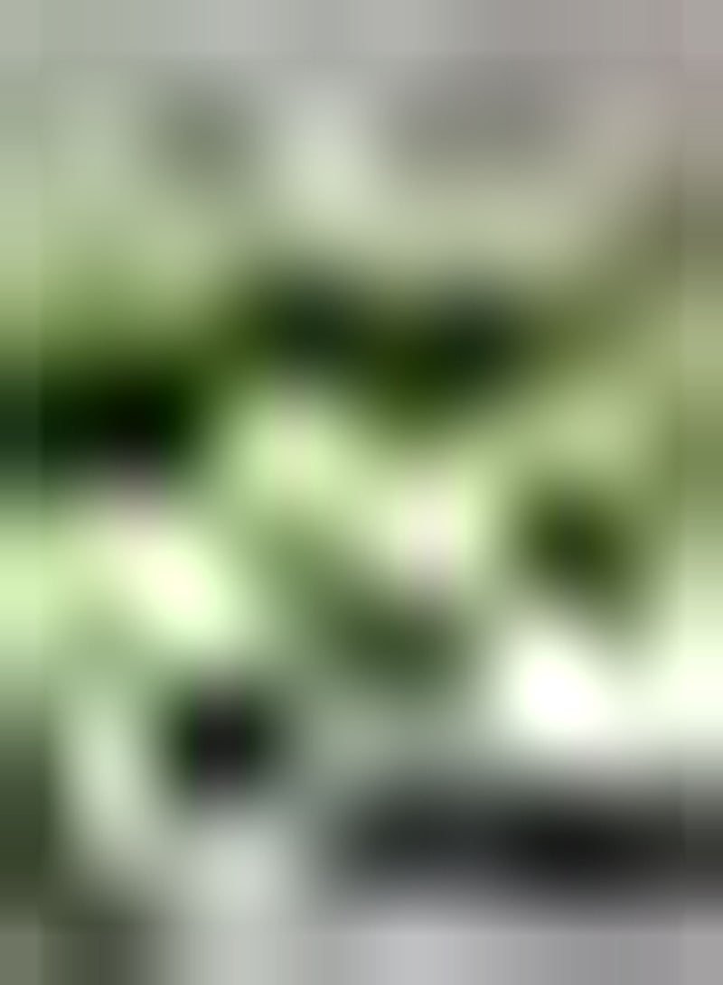 جي جوت 30 قطعة من منتجات Bitterkürbissamen Güne Merjährige Erbstück Gemüsesamen für die Außenterrasse Effizientes Pflanzen Einfach zu Hause zu pflegen - Image 1