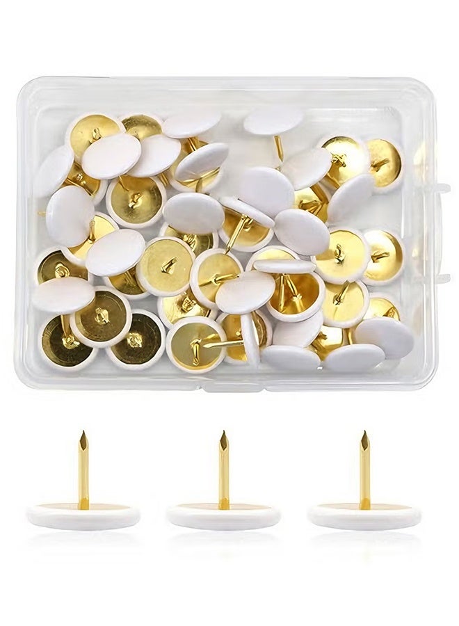 هابي دي دبابيس دفع بلاستيكية زخرفية للمنازل والمدارس والخرائط والمكاتب وجدار الصور ولوحة الفلين (أبيض 100 قطعة) - Image 1