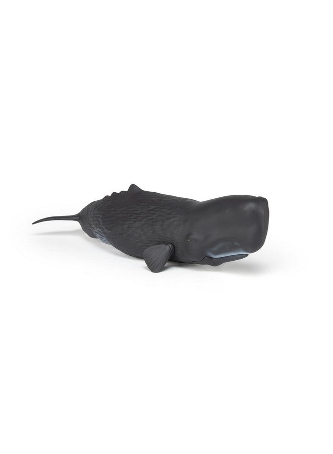 Papo Papo - Sperm Whale - Realistic Figurine - for Ages 3+ - Marine Life Collection - Hand Painted - Highly Detailed - Durable and Educational - Gift Idea - Collectable - Ocean Animal Figurine - Image 5