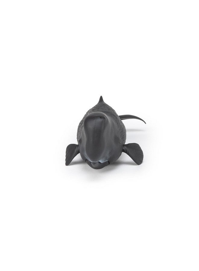 Papo Papo - Sperm Whale - Realistic Figurine - for Ages 3+ - Marine Life Collection - Hand Painted - Highly Detailed - Durable and Educational - Gift Idea - Collectable - Ocean Animal Figurine - Image 4