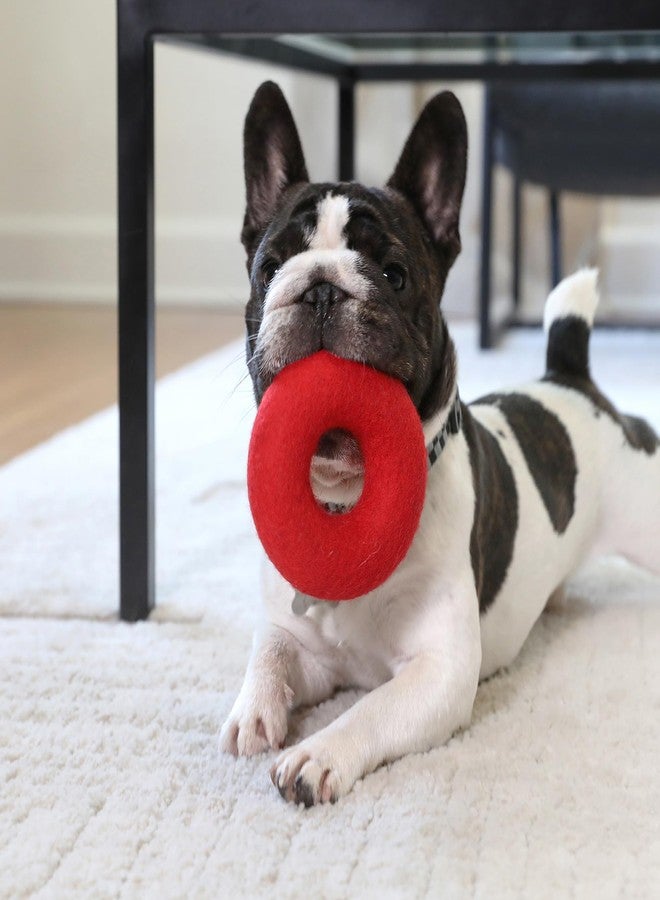 JW Wool-EE Ring Handmade 100% Wool All Natural Dog Toy for Fetch - Image 5