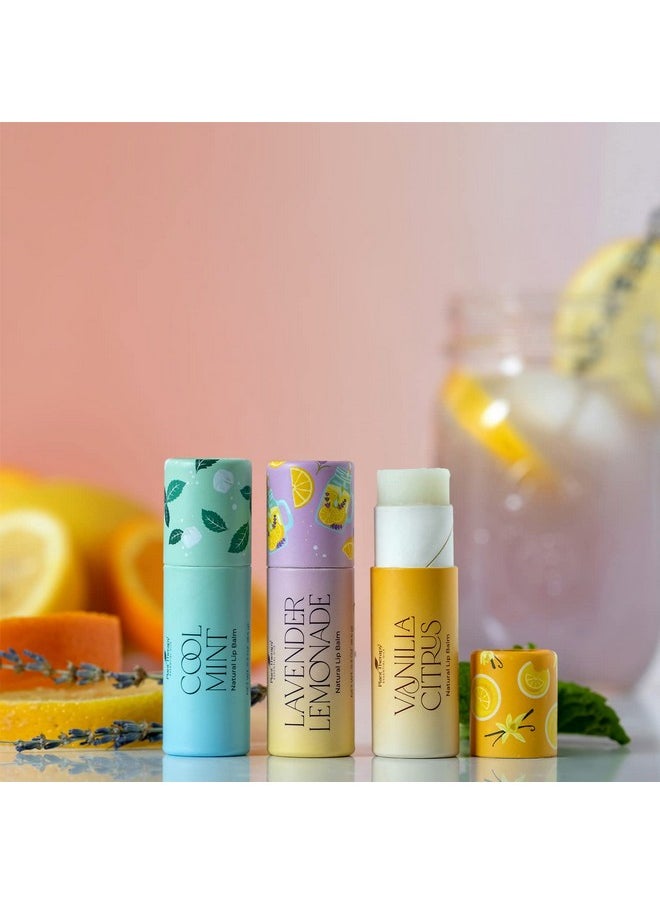Plant Therapy Love Your Lips Lip Balm Trio Set 0.9 Oz (25.5 G) Simple Natural Ingredients & Packaged In Ecofriendly Recyclable Cardboard Refreshing Flavors Including Lavender Lemonade Vanilla Citrus Cool Mint  - Image 4