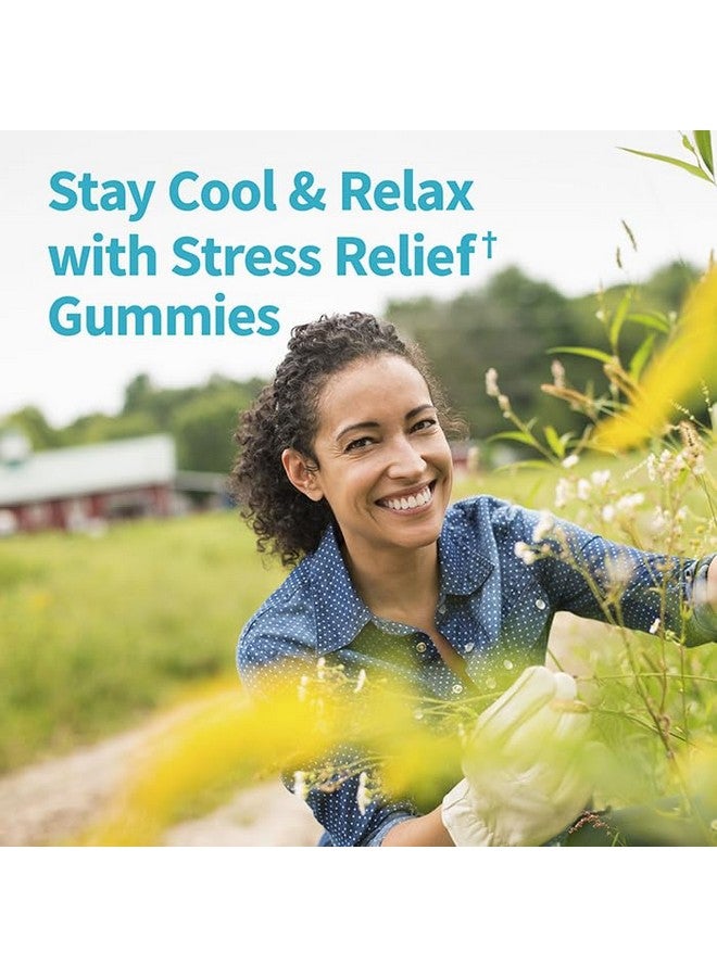 Garden of Life Herbals Stress Relief Gummy with Rhodiola & Saffron for Positive Mood & Stress Response Plus Prebiotics & Probiotics for Digestive Support - Non-GMO, Gluten-Free, Kosher, 30 Servings - Image 2