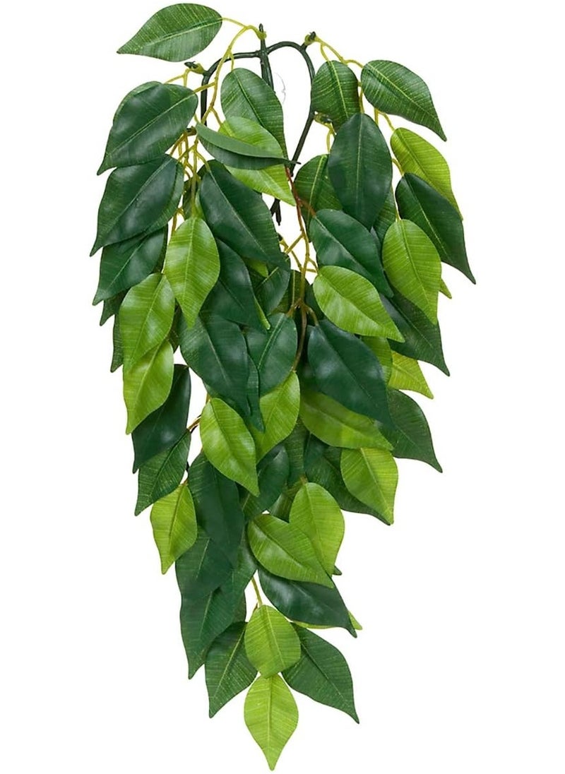 Exo Terra Exo Terra Silk Terrarium Plant, Medium, Ficus  - Image 2
