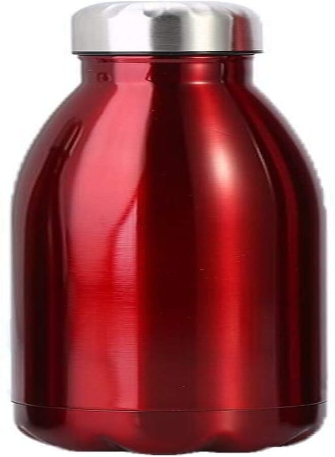 Stainless Steel Water Bottle, Leak-Proof Insulated Water Bottle, Water Bottle, Keeps Drinks Hot and Cold (500 ml,