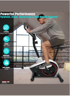 Sky Land Upright Magnetic Exercise Bike | Home Gym Cardio Cycling Machine | 8-Level Resistance, 5Kg 2-Way Flywheel, Digital Display & Pulse Sensors, Adjustable Seat, FitShow App – EM-1570  - Image 3