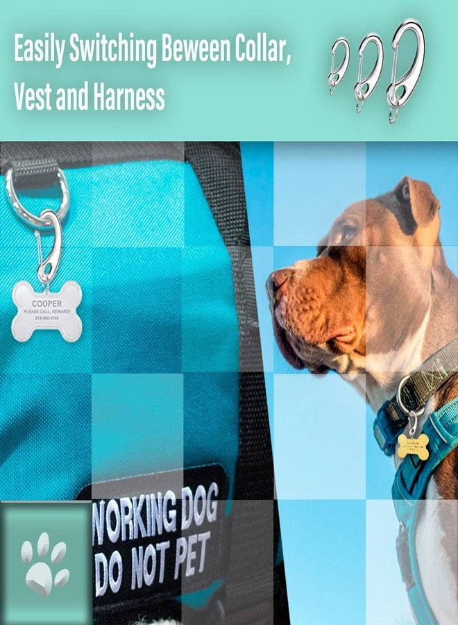 Divoti Pet Tag Quick Clip/Sping-Load Hook Combo for Pet ID Tags - 2 Standard w/Pack of Split Rings - Image 5