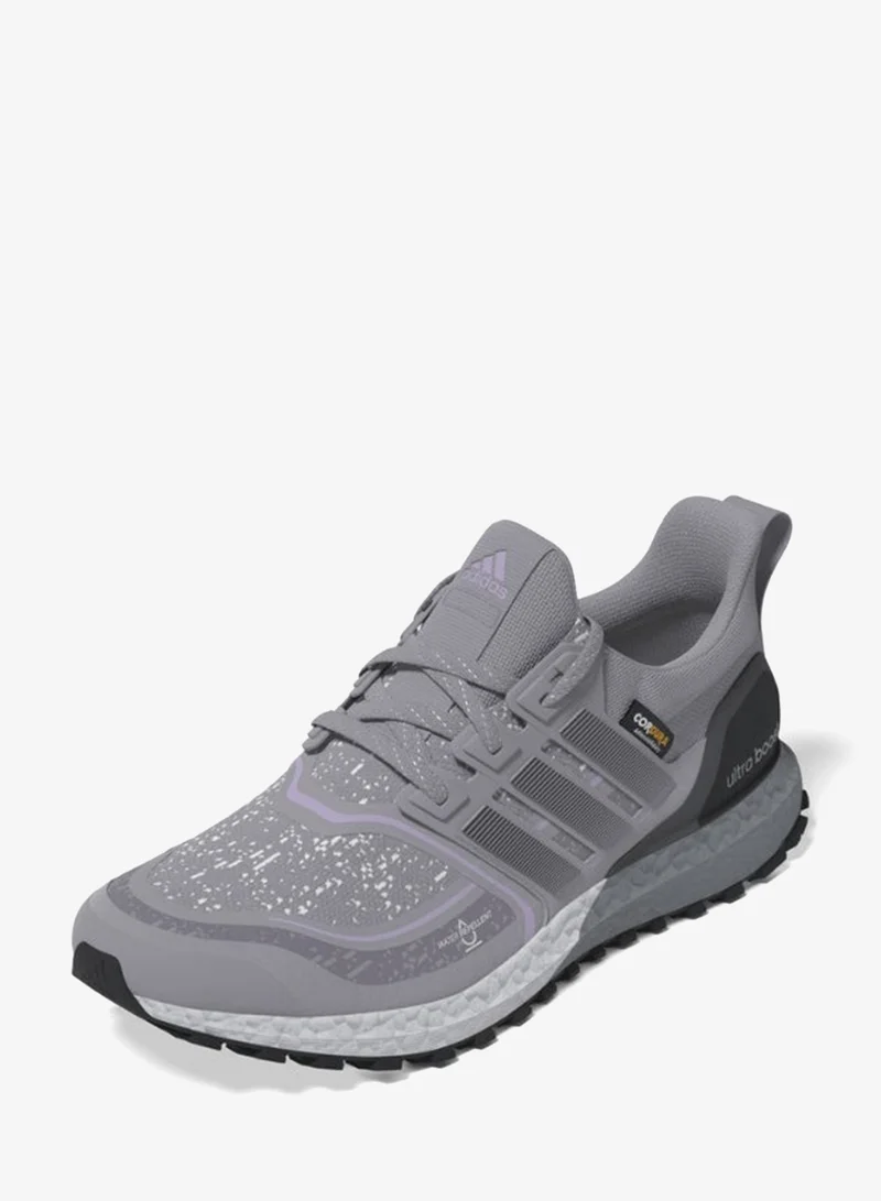 Adidas Ultraboost 1.0 Atr Shoes