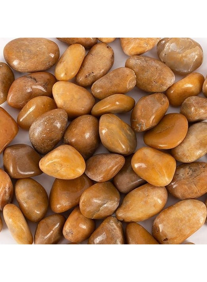 Light Brown Smooth & Polished Decorative Large Size Stones Pebbles for Aquarium Garden Landscaping Plants and Home Interior & Exterior Decoration Durable Rocks Gravel for Decor (Large - 1kg)  - Image 1