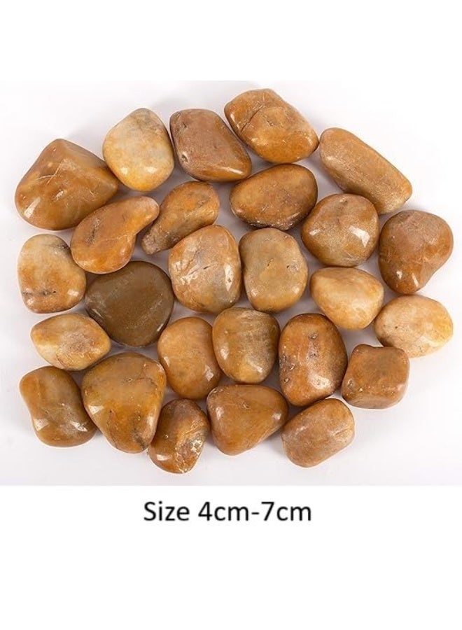 Light Brown Smooth & Polished Decorative Large Size Stones Pebbles for Aquarium Garden Landscaping Plants and Home Interior & Exterior Decoration Durable Rocks Gravel for Decor (Large - 1kg)  - Image 2