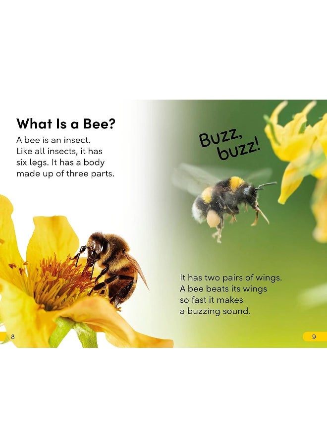 DK Super Readers Level 2 Amazing Bees  - Image 5