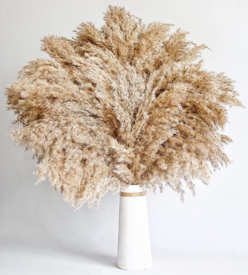 Kocat 60 PCS Boho Decor, Fluffy Pompas Grass, Natural Dry Pampas Grass Small, Short Pampass Bulk for Boho Room Decor, Coffee Table Decor (17 inch ) - Image 4