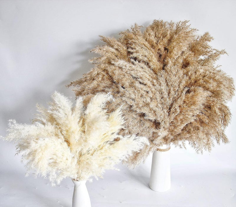 Kocat 60 PCS Boho Decor, Fluffy Pompas Grass, Natural Dry Pampas Grass Small, Short Pampass Bulk for Boho Room Decor, Coffee Table Decor (17 inch ) - Image 3