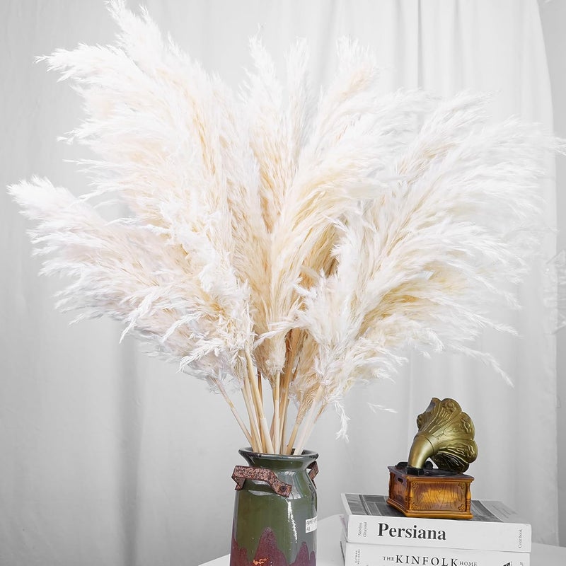Kocat 60 PCS Boho Decor, Fluffy Pompas Grass, Natural Dry Pampas Grass Small, Short Pampass Bulk for Boho Room Decor, Coffee Table Decor (17 inch ) - Image 5