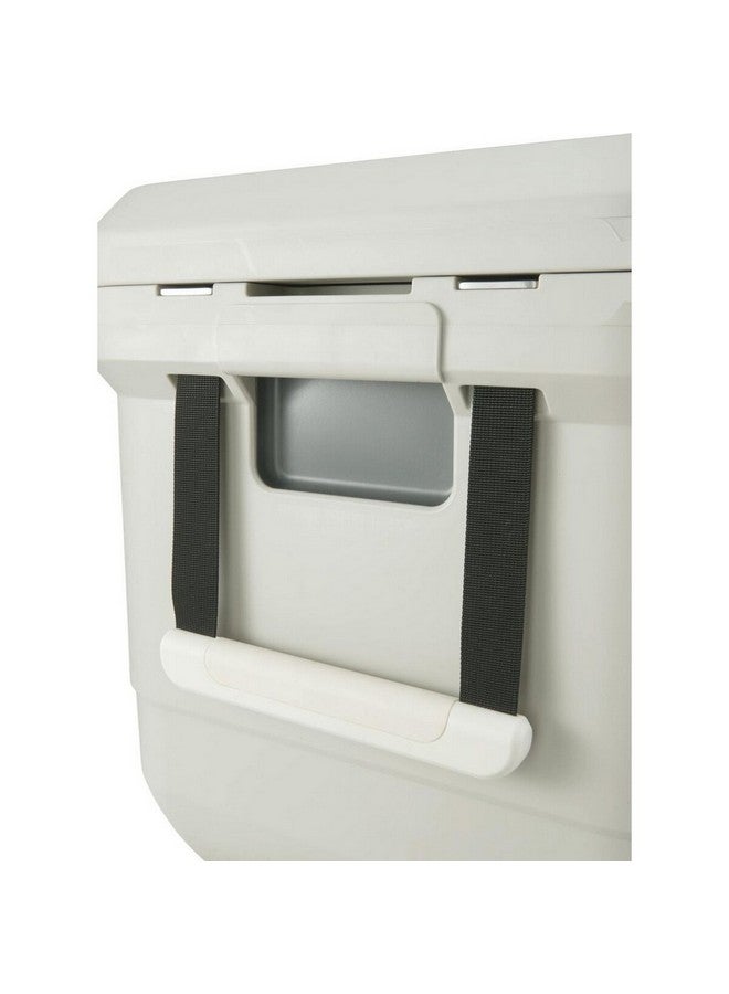 كولمان برو سيريز صندوق تبريد مع مقبض جانبي بيج وأسود 45 كوارت 2213911 - Image 5