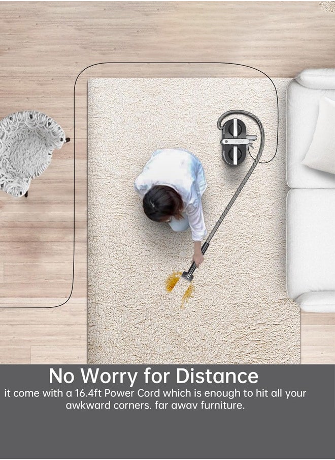 DSP Carpet Cleaner,12Kpa Portable Carpet Spot and Upholstery Cleaner with 3 Different Brushes, 1200W Powerful Suction Deep Couch Cleaner Machine with Handle for Pet Stains, Sofa, Car Seat, furniture,KD2047,Grey  - Image 5