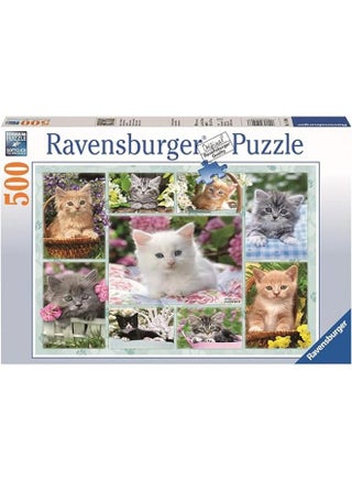 14196 KITTEN IN A BASKET - pzsku/Z266C7EB7B2B0209004D4Z/45/_/1706096117/ff0f07ab-0db0-4110-8fbf-472bc204723b