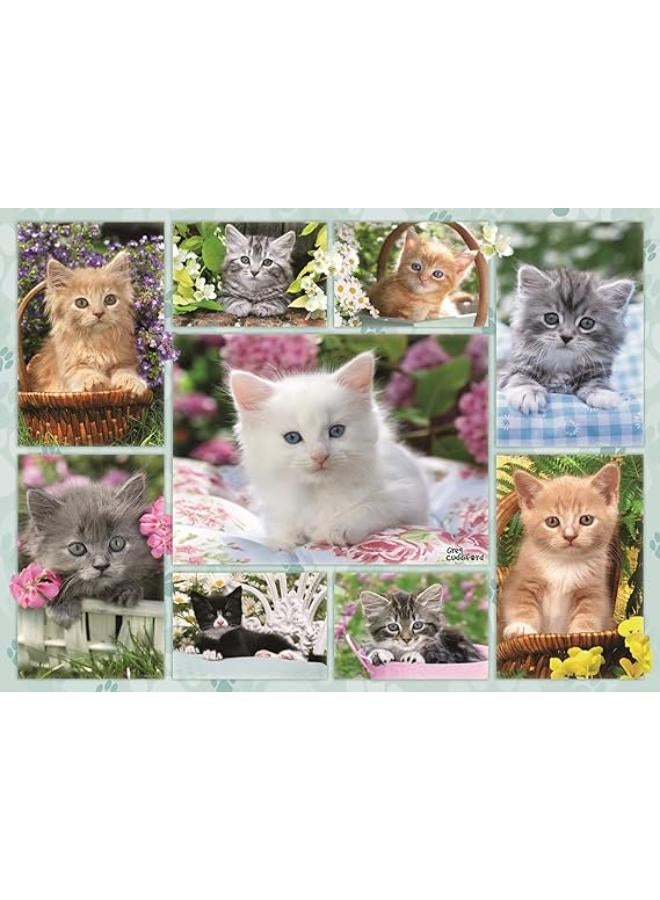 14196 KITTEN IN A BASKET