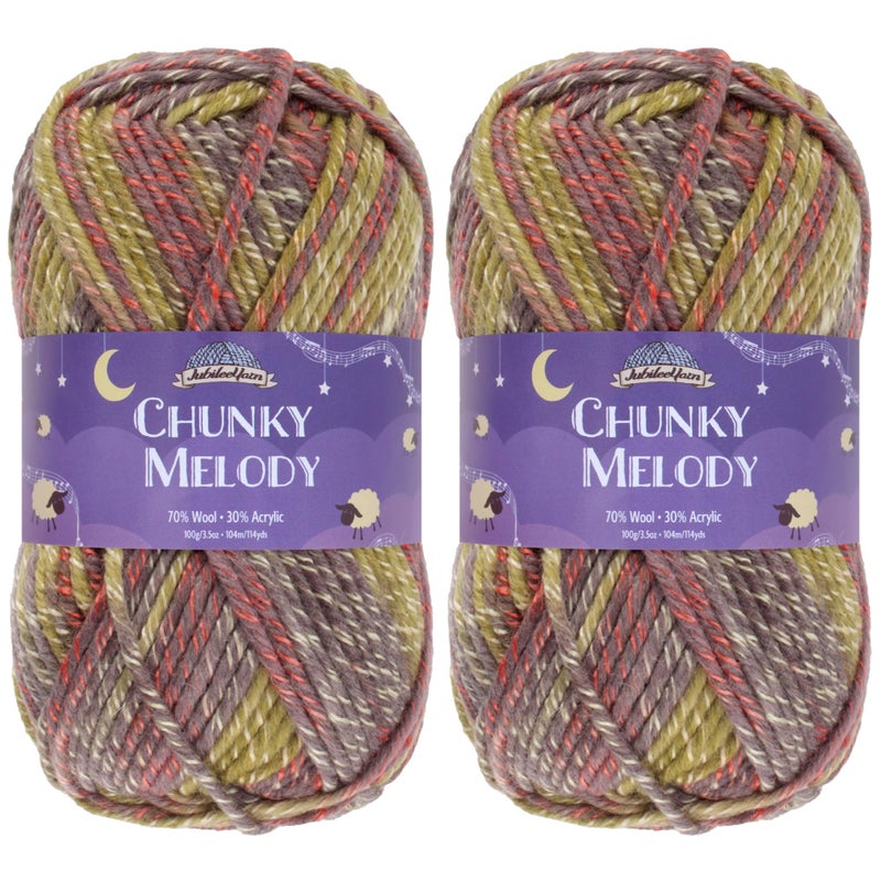 BambooMN JubileeYarn Chunky Melody Yarn  100gSkein Bulky Wool Blend  Splitpea Carrot  2 Skeins
