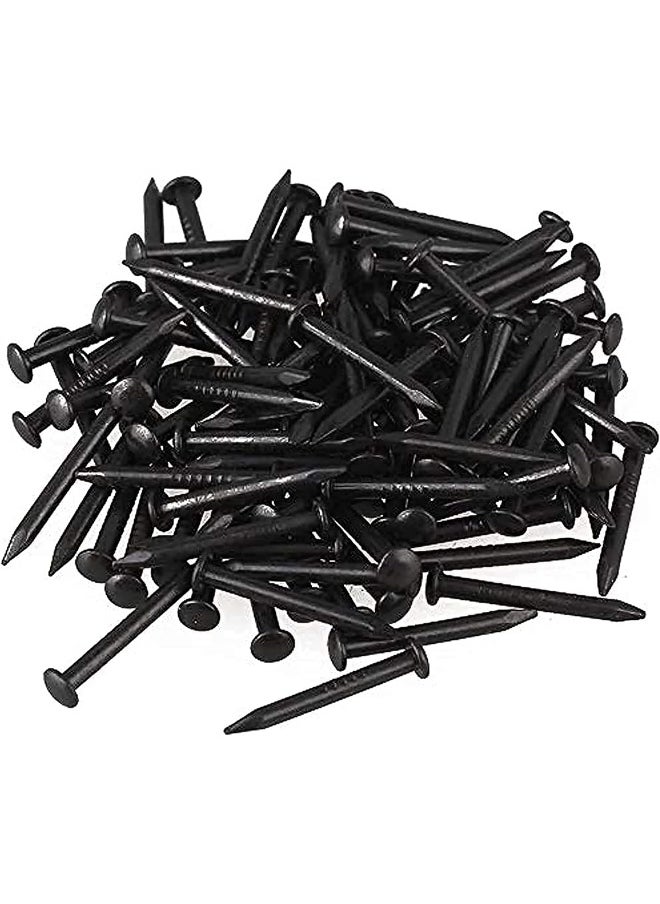Royal Apex Royal Apex Masonry Steel Nail For Concrete (1 Inch)  - Image 1