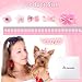 Janinka 40pcs Dog Hair Bows with Rubber Bands, Small Dog Puppy Hair Bows for Yorkie Maltese, Cute Pet Grooming Accessories Multicolor Bowknot Set for Daily Party - Image 3