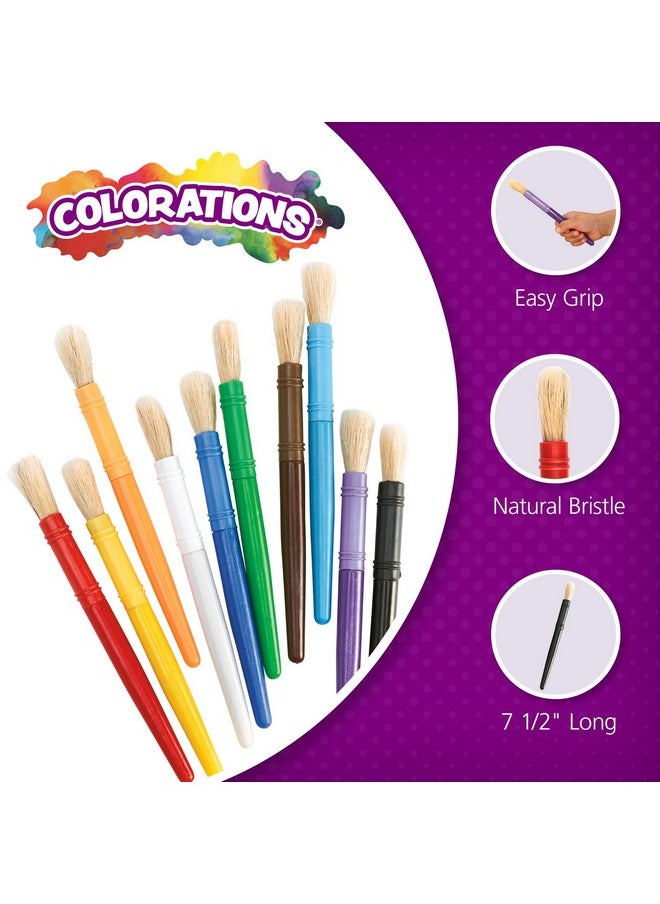 Colorations 10PCB Plastic Chubby Paint Brushes (Pack of 10) - pzsku/Z266D108D39E5C76FC4D2Z/45/_/1740983084/8c1a3aa3-5285-4111-a135-c89608a2fb52