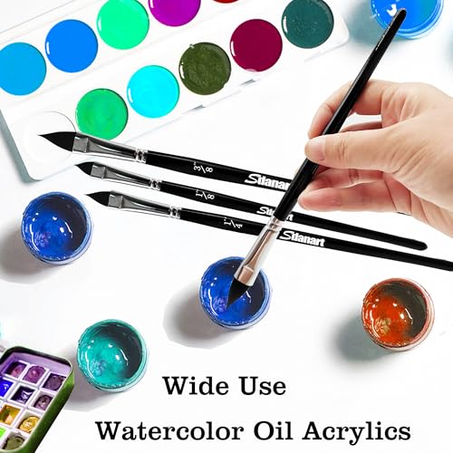 Sdanart Cat Tongue Watercolor Brushes,4 PCS Oval Wash Paint Brushes for Acrylic Painting Floral Petal Watercolor Brush，Pointed Oval Paintbrush Professional Cat's Tongue Paint Brush Artist Paintbrushes - Image 4